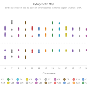 Cytogenetic Map