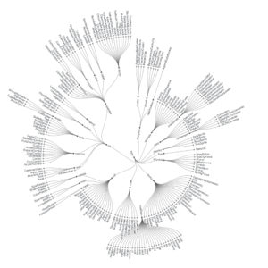 Radial Tidy Tree