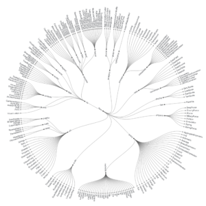 Radial Cluster Tree