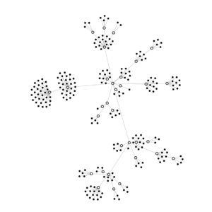 Force-Directed Graph