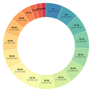 Donut Chart