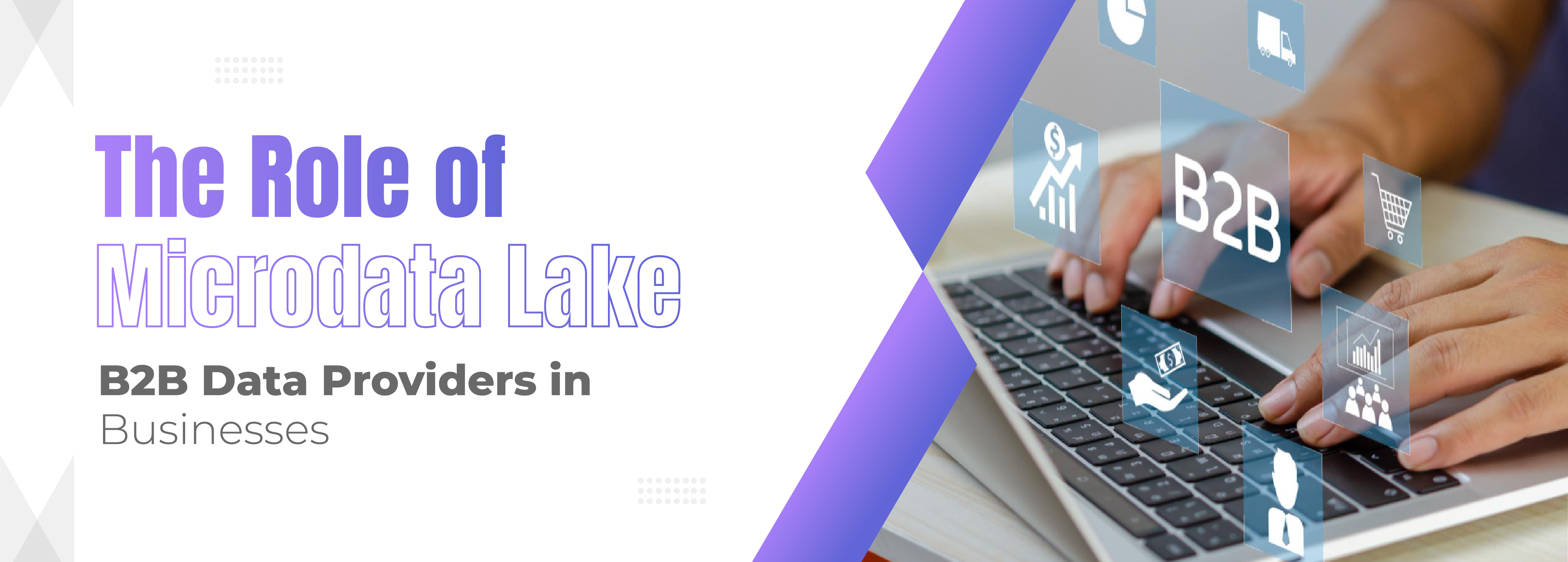 You are currently viewing The Role of Microdata Lake B2B Data Providers in Businesses