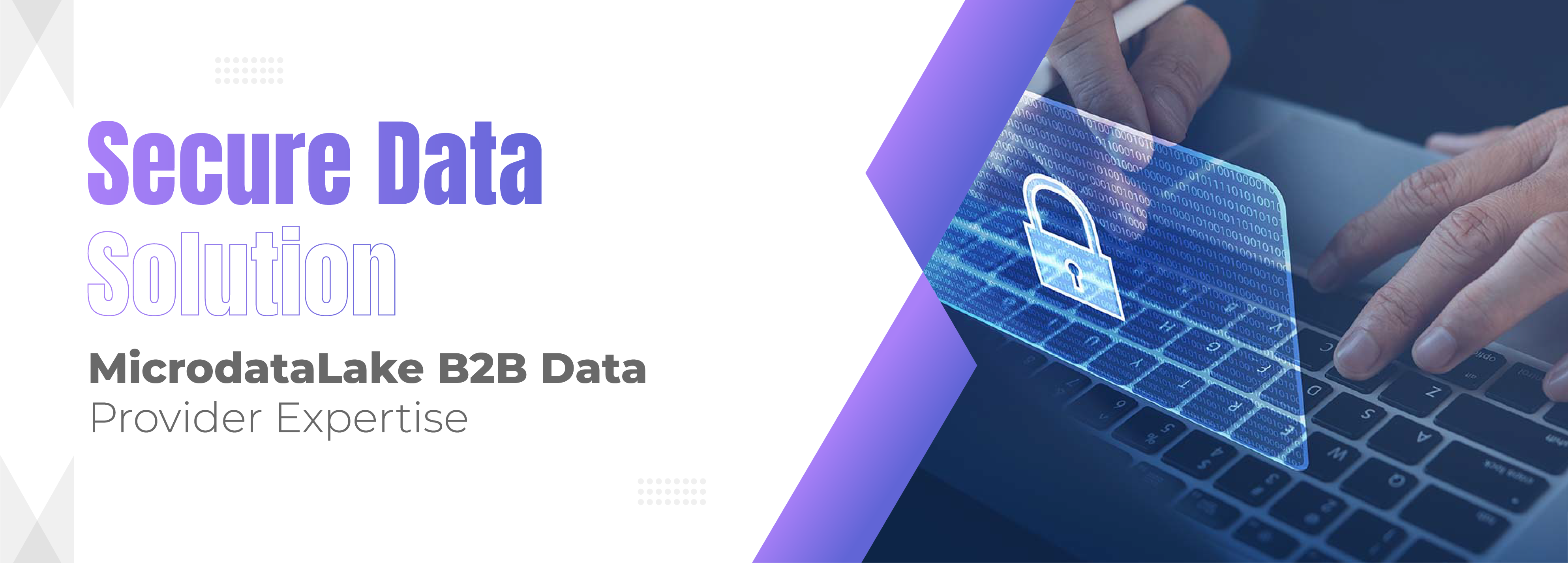 You are currently viewing Secure Data Solution :MicrodataLake B2B Data Provider Expertise